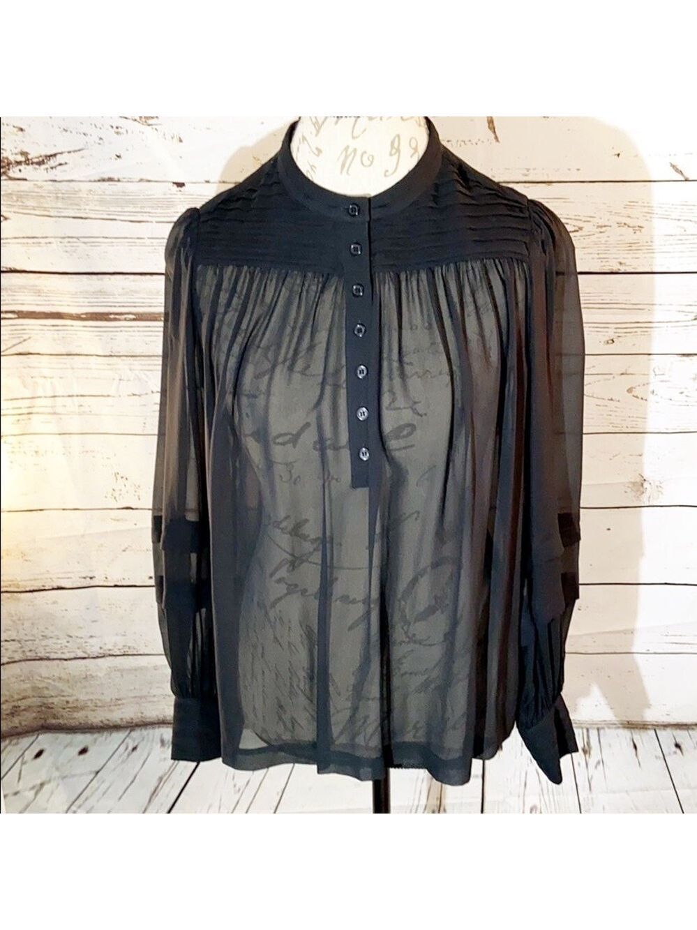 MODA International Sheer Silk Blouse
